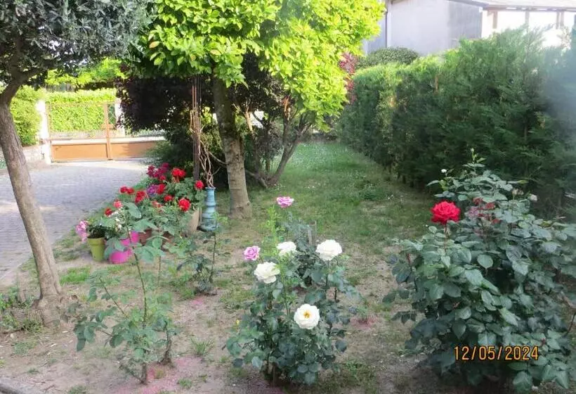 Aamiaismajoitus (B&B) 5 Palme