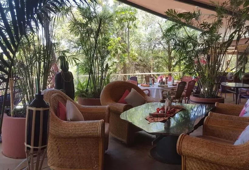 ベッドアンドブレックファースト Black Wattle Retreat