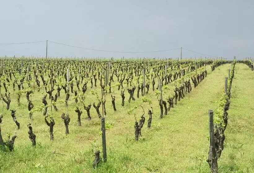 Aamiaismajoitus (B&B) Château De La Galissonnière