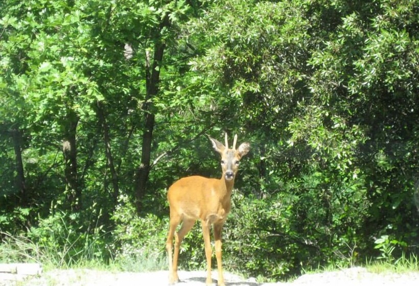 צימר La Cabane De Luca