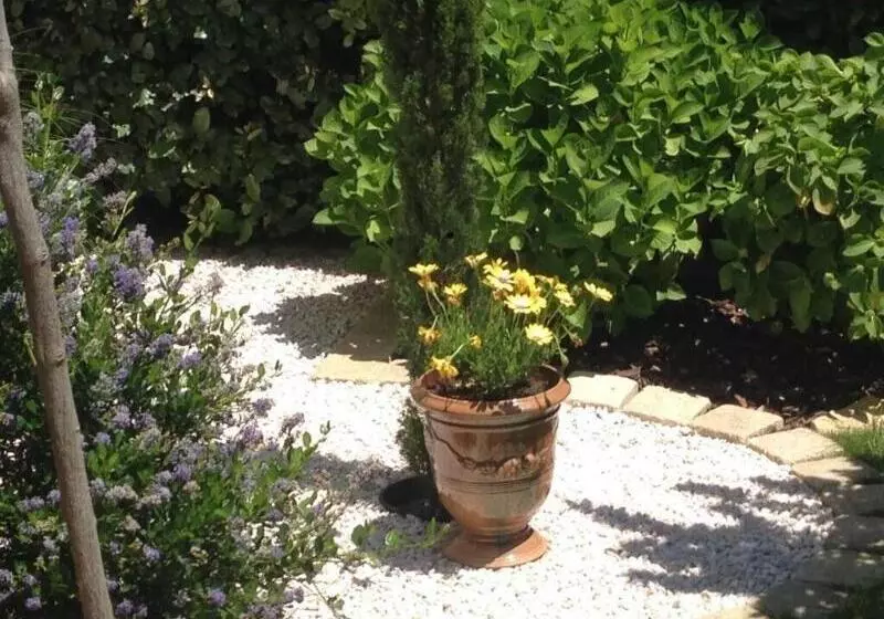 Aamiaismajoitus (B&B) La Glycine Blanche