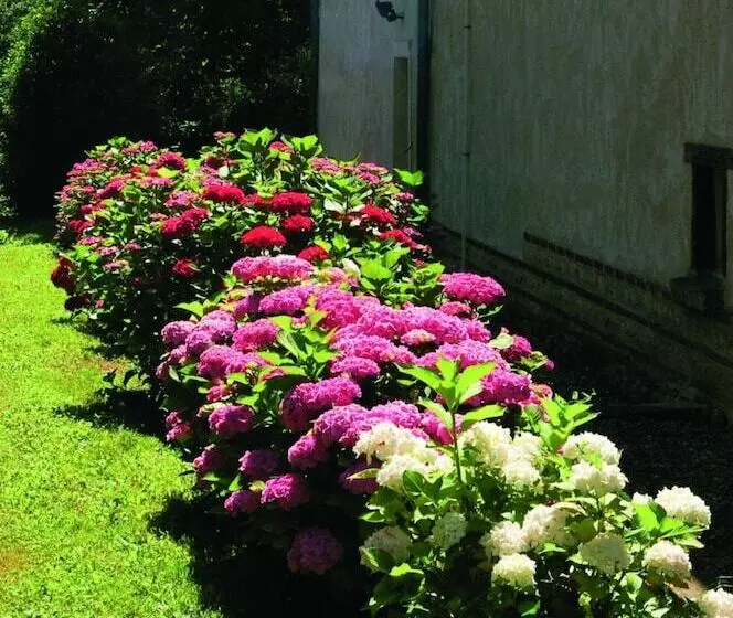 ベッドアンドブレックファースト Le Clos Des Rêves