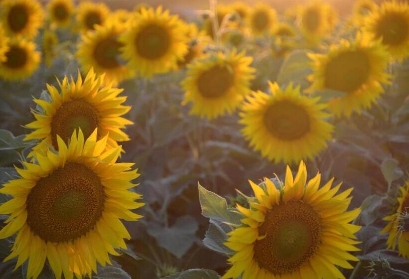 צימר Les Noyers Aulnay