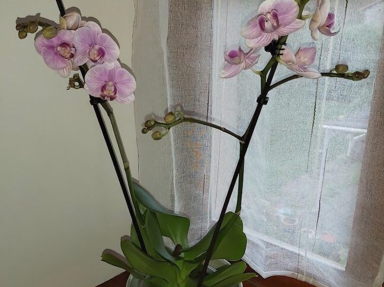 Bed and Breakfast Number 14