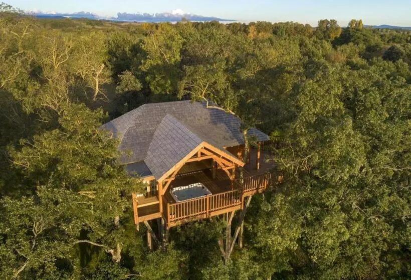 Cabane De Prestige Avec Jacuzzi Et Sauna Privatifs