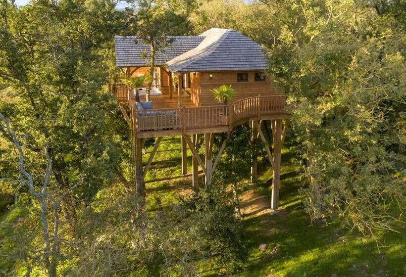 Cabane De Prestige Avec Jacuzzi Et Sauna Privatifs