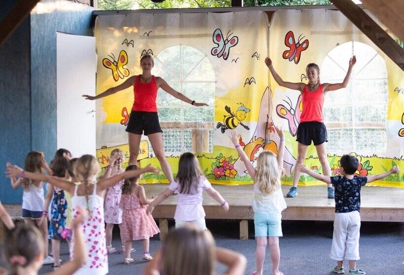 Отель Camping Le Moulin