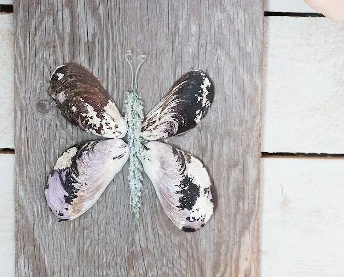 Lighthouse Lane Cottages