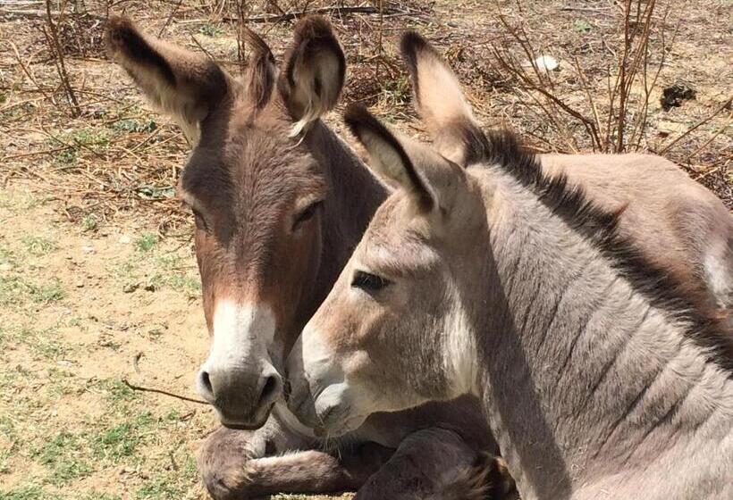 펜션 Asinerie Kuleni