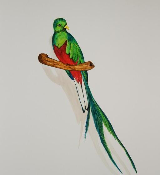 펜션 Asinerie Kuleni