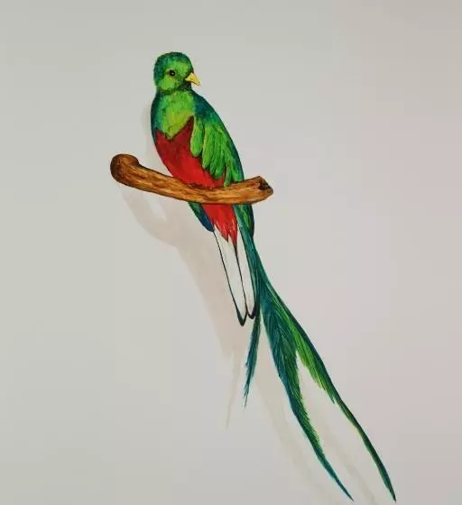 Majatalo Asinerie Kuleni