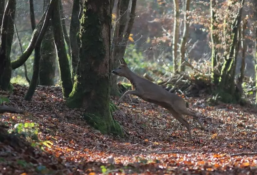 ペンション Chambres D Hôtes La Verrerie D Ivoy