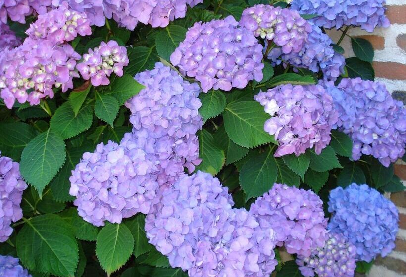 Pensione Chambres D Hôtes La Verrerie D Ivoy