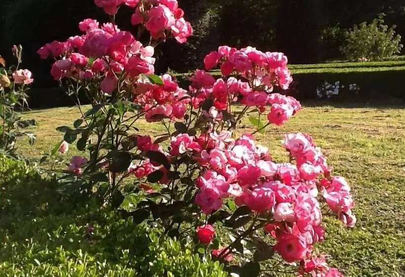 ペンション Chambres D Hôtes La Verrerie D Ivoy