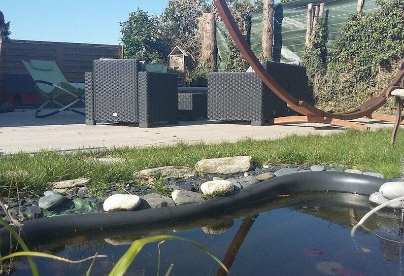 بنسيون Chez David