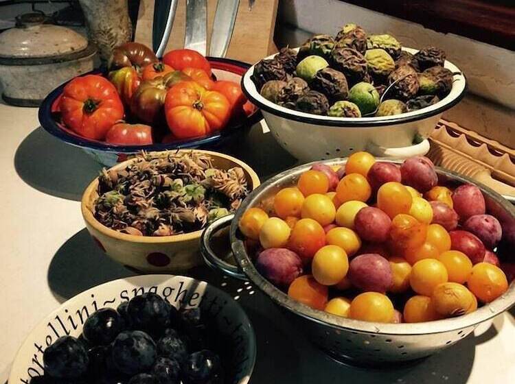 بنسيون Le Peyrail