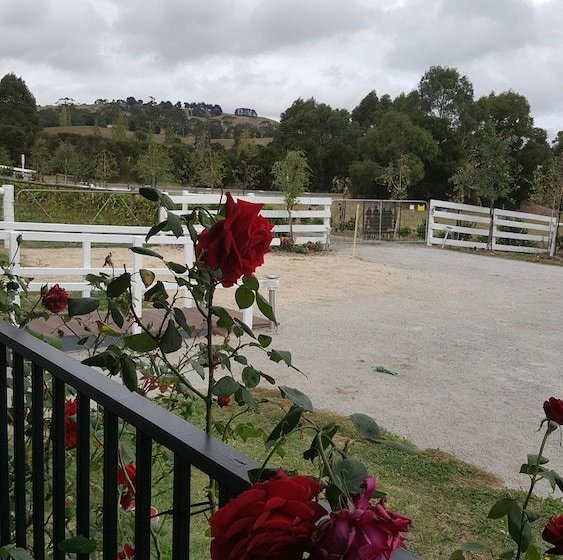 Silverbirch Cottage Loch