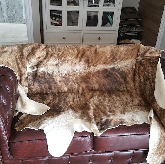 Silverbirch Cottage Loch