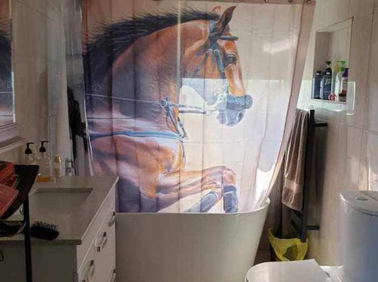 Silverbirch Cottage Loch