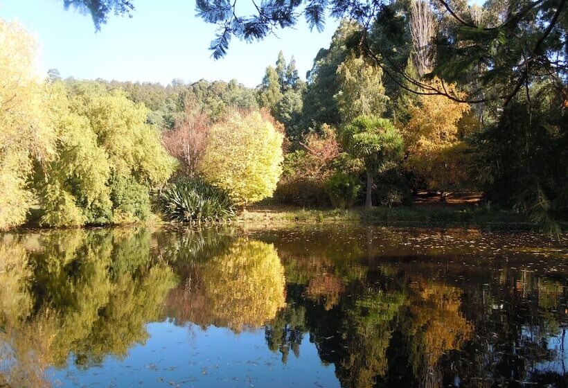 Whispering Spirit Holiday Cottages & Mini Ponies