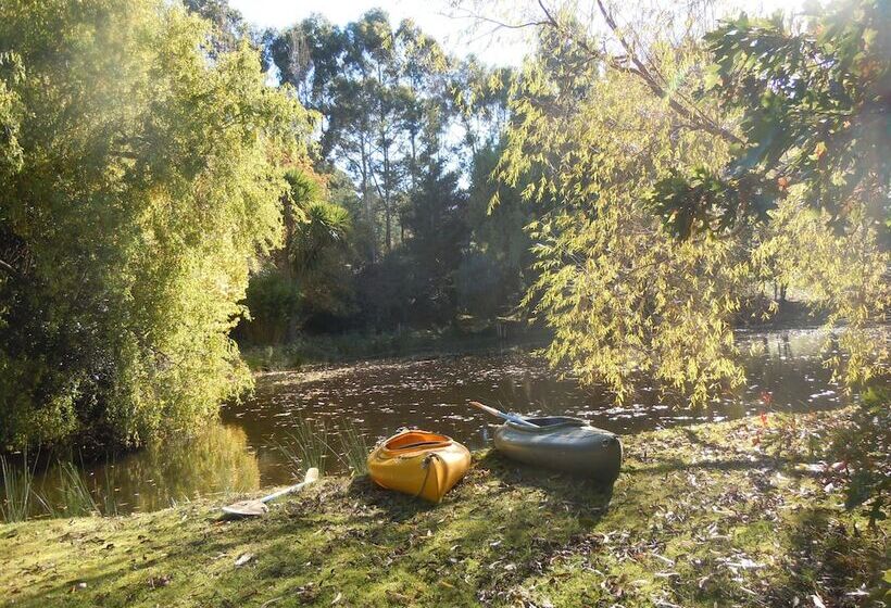 Whispering Spirit Holiday Cottages & Mini Ponies