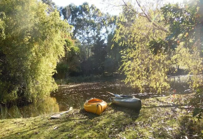 Whispering Spirit Holiday Cottages & Mini Ponies