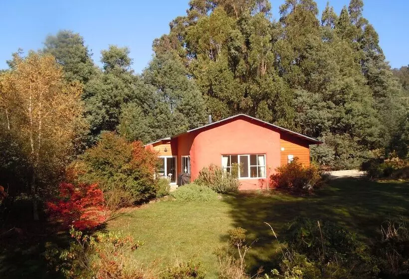 Whispering Spirit Holiday Cottages & Mini Ponies