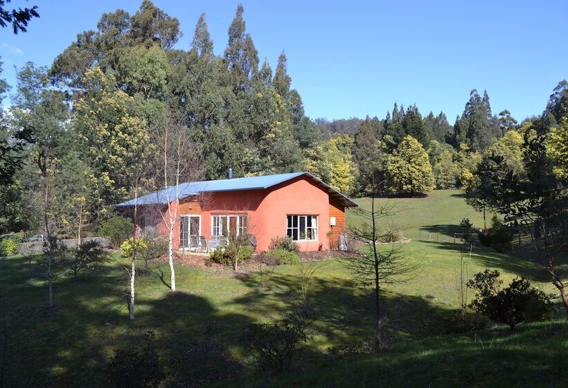 Whispering Spirit Holiday Cottages & Mini Ponies