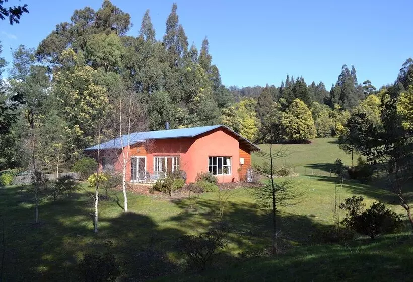 Whispering Spirit Holiday Cottages & Mini Ponies