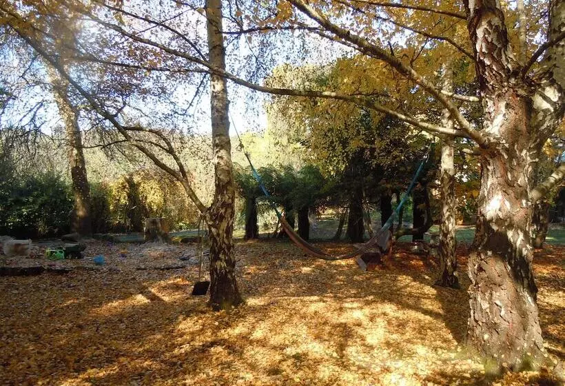 Whispering Spirit Holiday Cottages & Mini Ponies