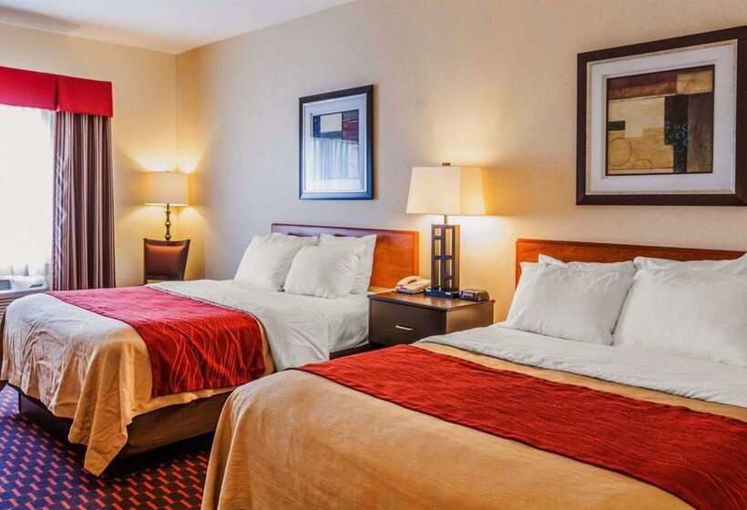 酒店 Comfort Inn Avonindianapolis West