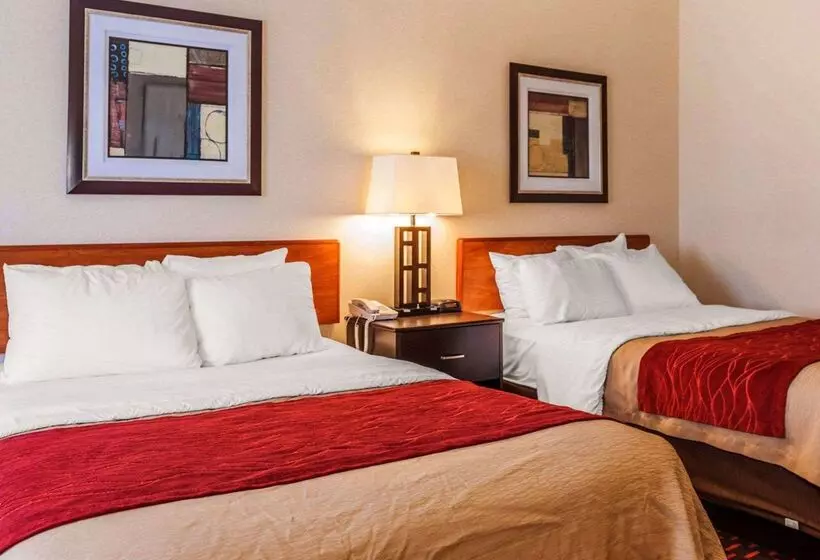 ホテル Comfort Inn Avonindianapolis West
