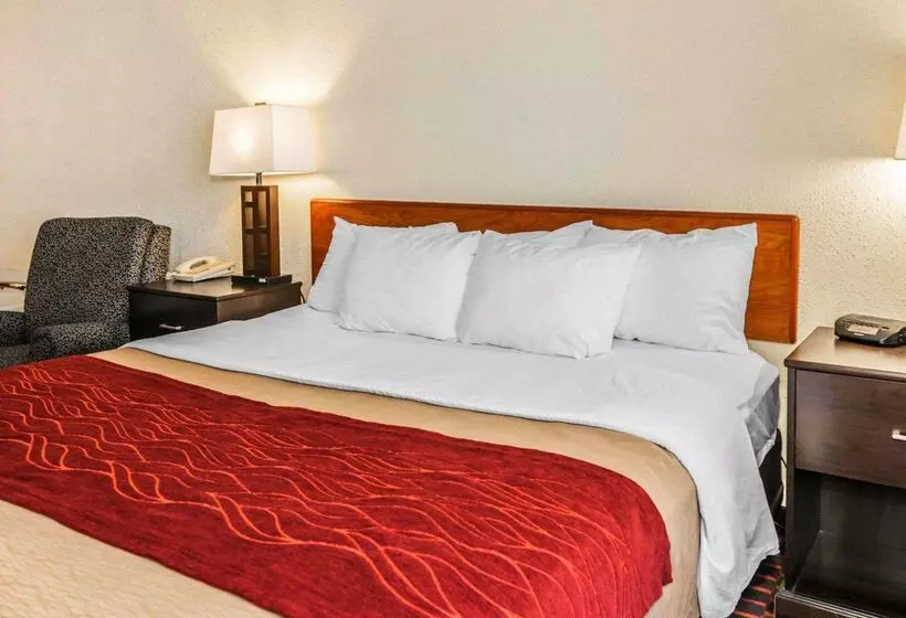 ホテル Comfort Inn Avonindianapolis West