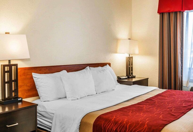酒店 Comfort Inn Avonindianapolis West