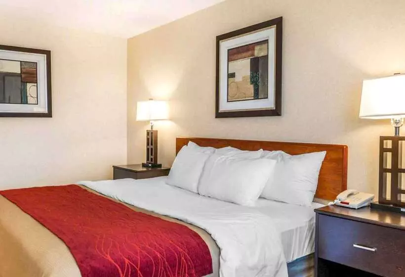 ホテル Comfort Inn Avonindianapolis West