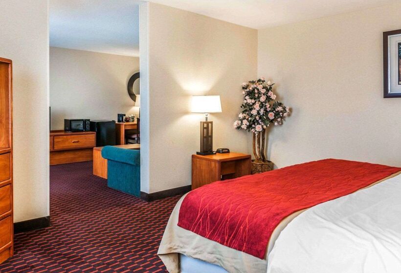 酒店 Comfort Inn Avonindianapolis West