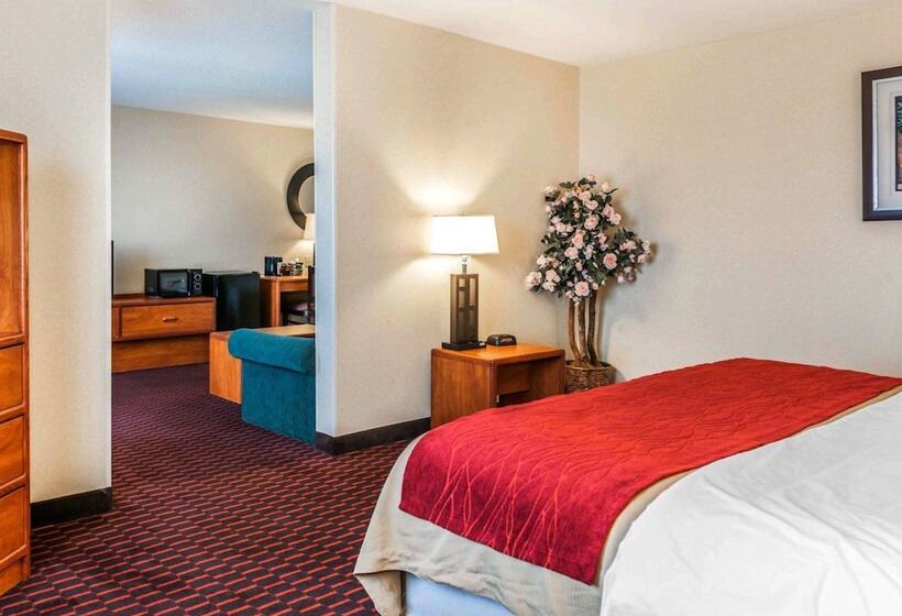 酒店 Comfort Inn Avonindianapolis West