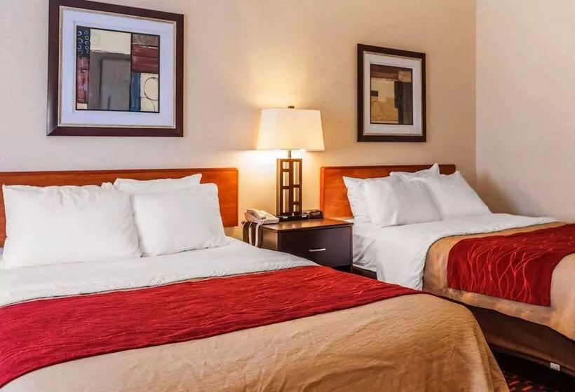 ホテル Comfort Inn Avonindianapolis West