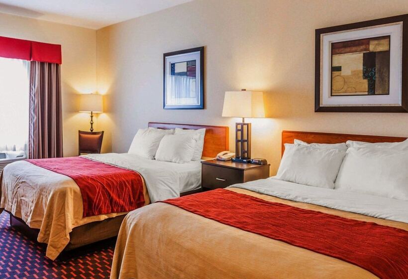 酒店 Comfort Inn Avonindianapolis West