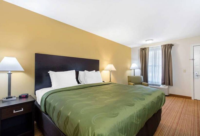 酒店 Quality Inn Arab Hwy 231