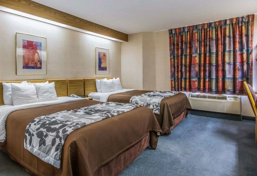 ホテル Rodeway Inn Fremont