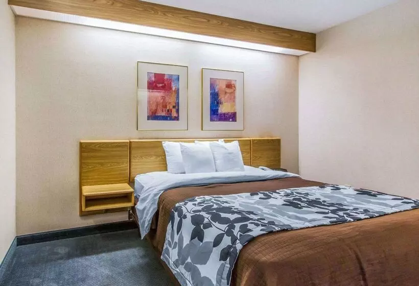 Отель Rodeway Inn Fremont