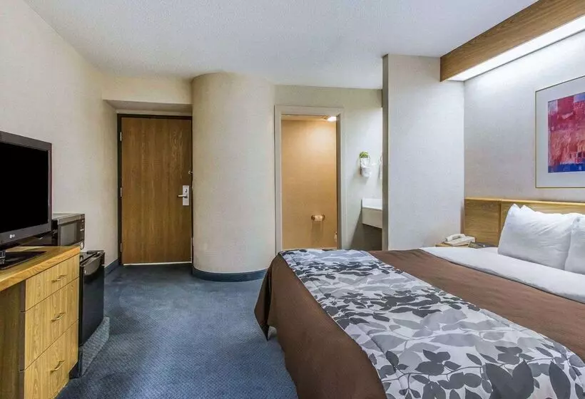 Отель Rodeway Inn Fremont