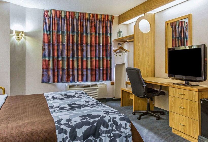 ホテル Rodeway Inn Fremont