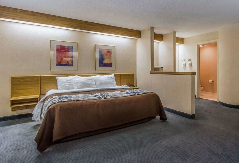 ホテル Rodeway Inn Fremont