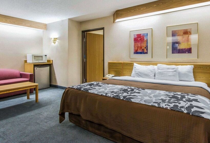 ホテル Rodeway Inn Fremont