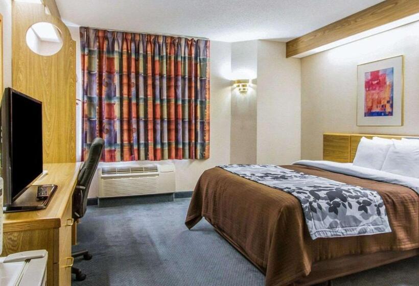 ホテル Rodeway Inn Fremont