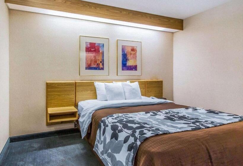 ホテル Rodeway Inn Fremont