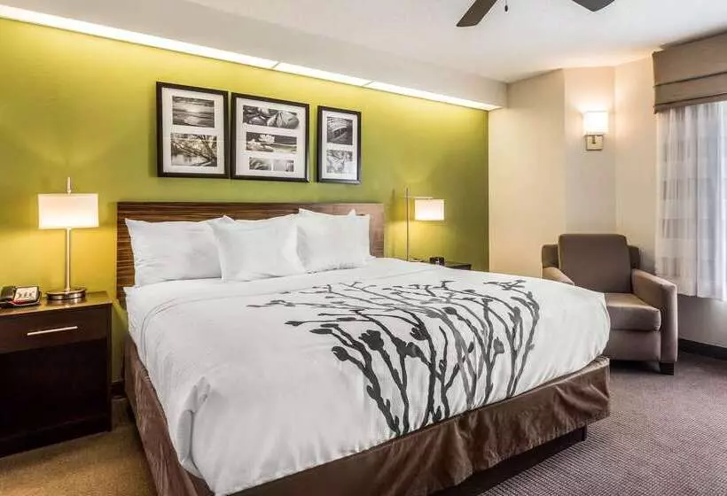 ホテル Sleep Inn Charleston West Ashley