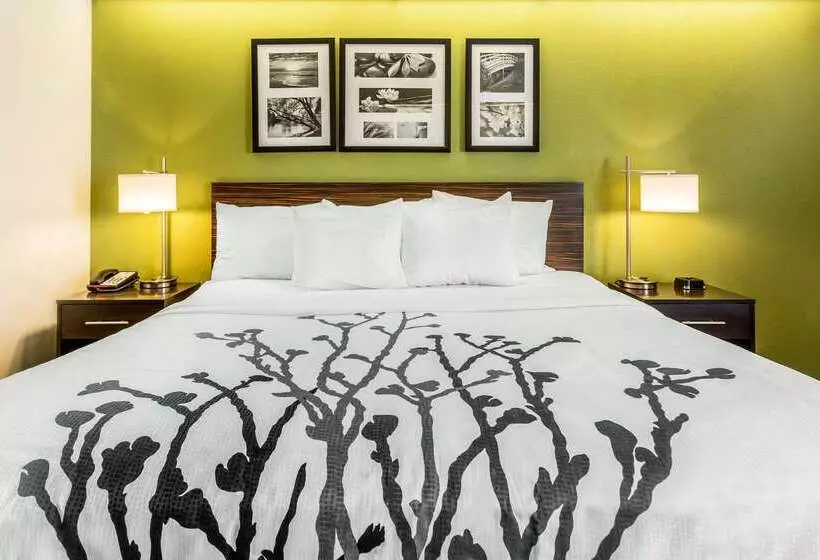 ホテル Sleep Inn Charleston West Ashley